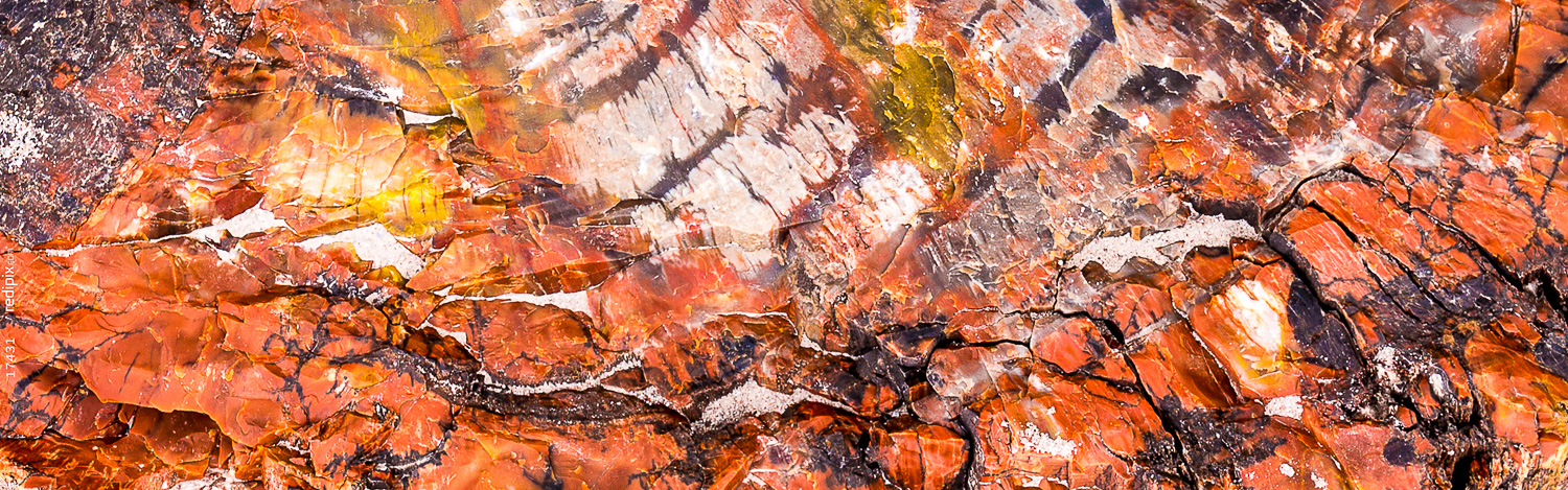 162: Red log in the mud, Jasper Forest hike, Petrified Forest National Park, Arizona -- Photo on Lamp shade by David Elmore