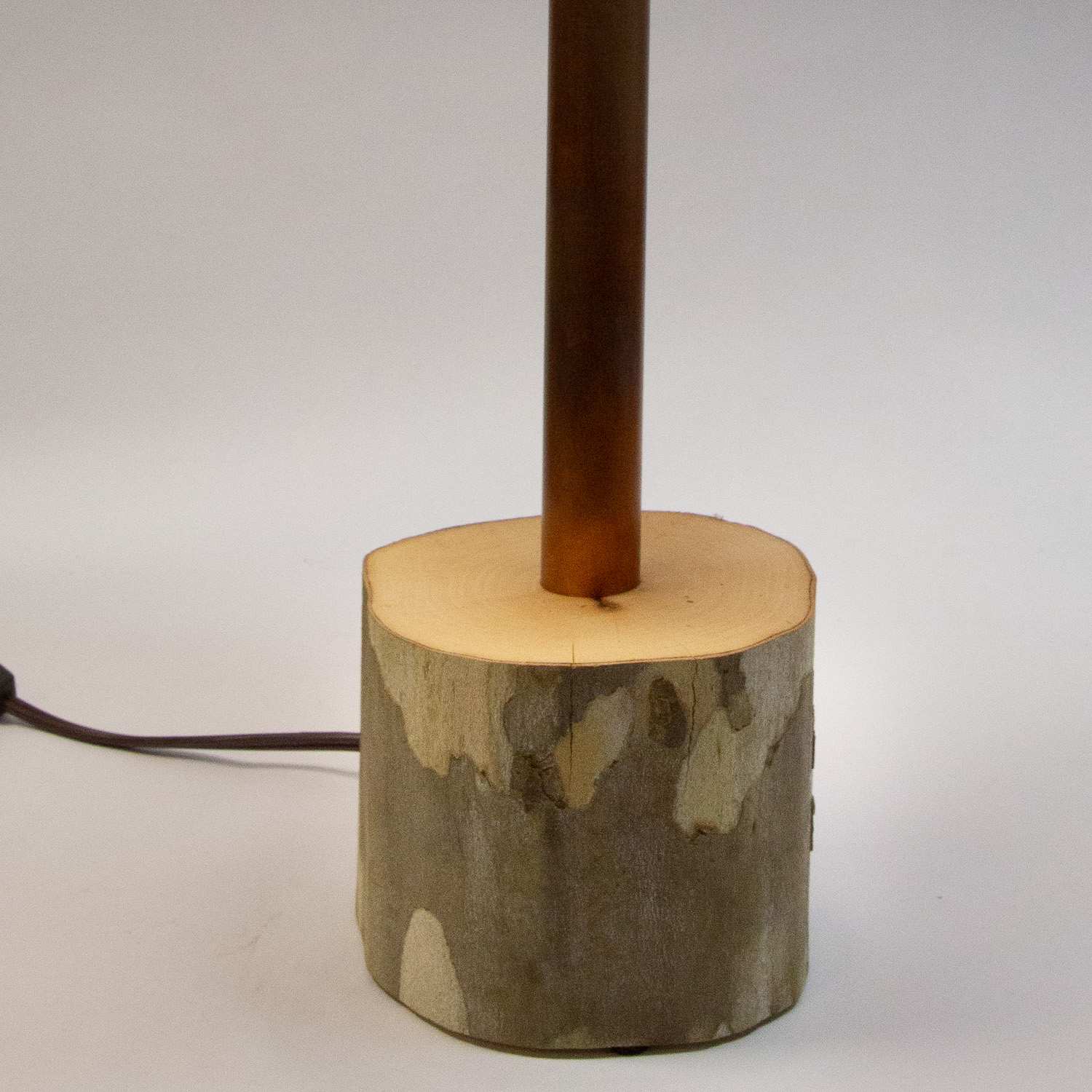 : Table lamp with sycamore log base and photo silk shade with image of sycamore bark.