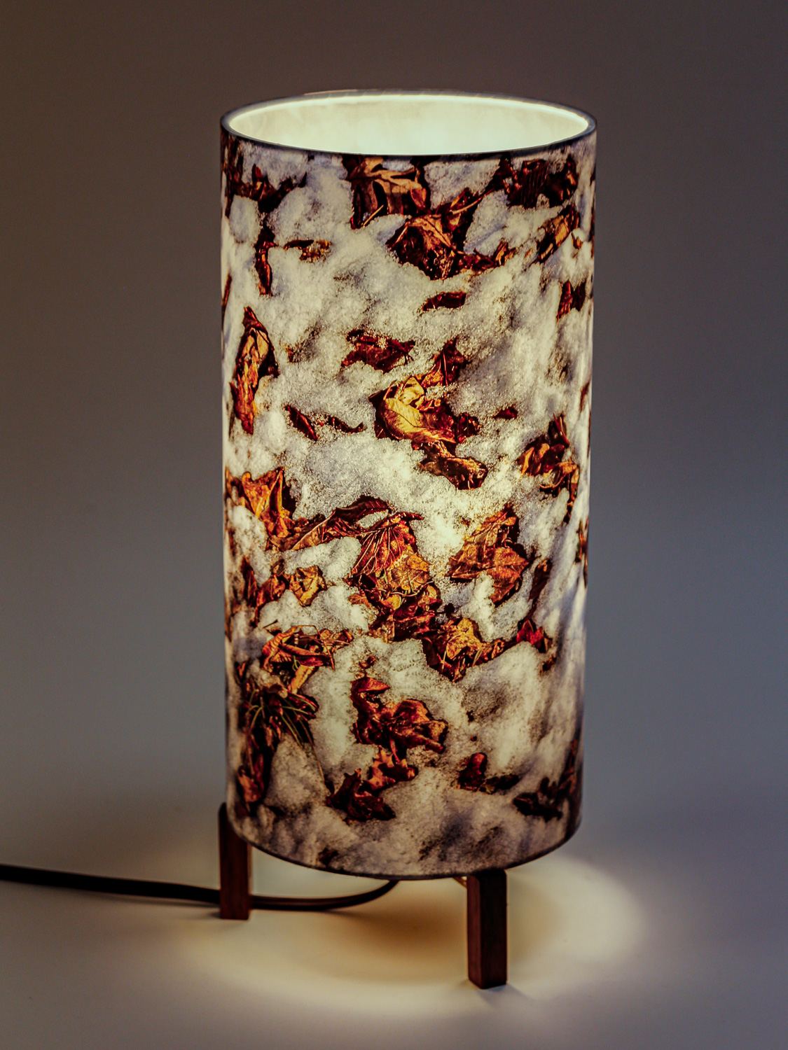 : Minimalist lamp with photo lampshade with image of melting snow. -- Photo on Lamp shade by David Elmore