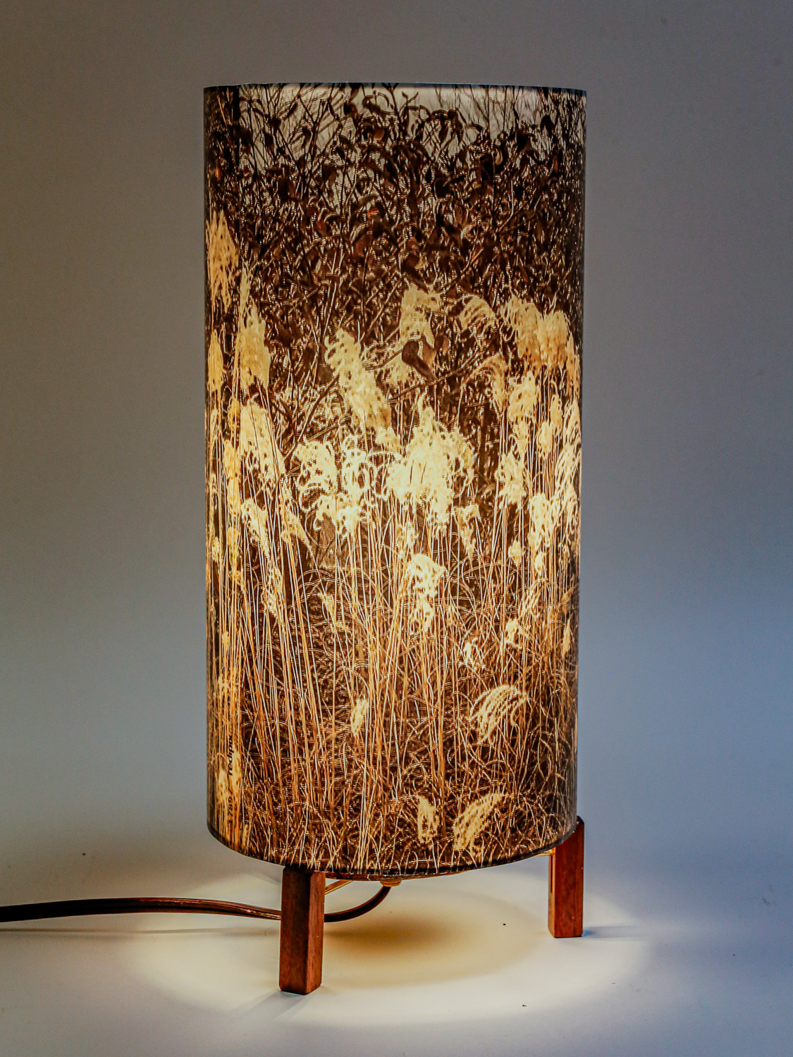 159: Minimalist lamp image of decorative grass. -- Photo on Lamp shade by David Elmore