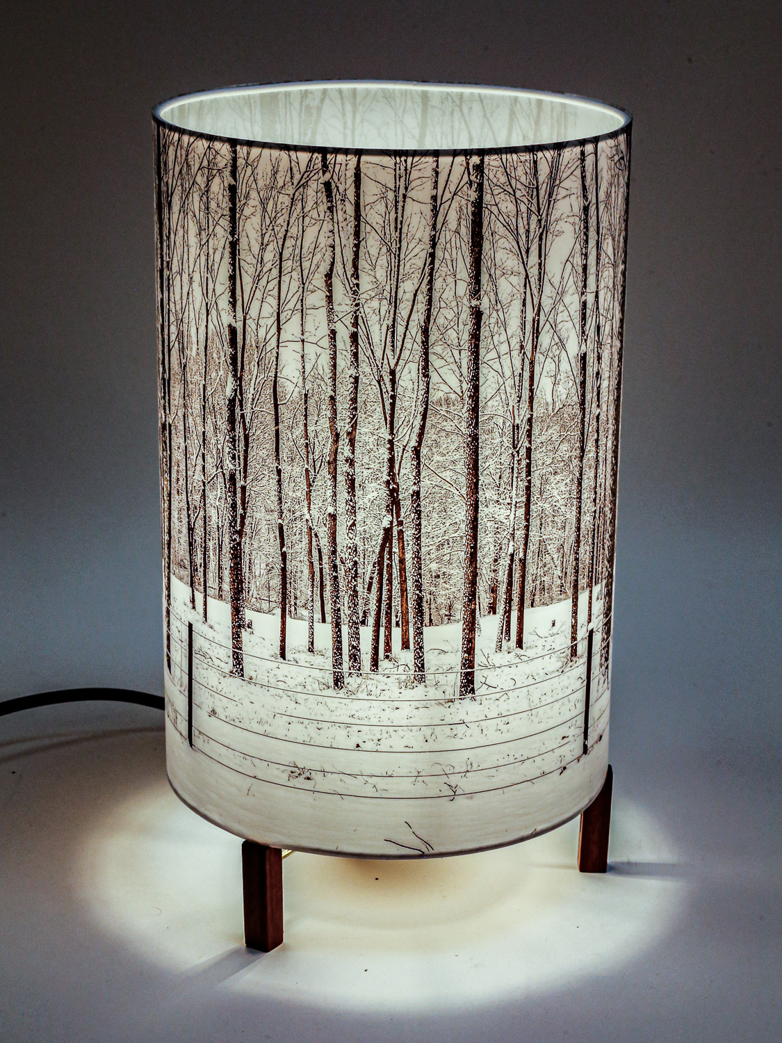 167: Minimalist lamp with photo lampshade with image of walnut trees and snow. -- Photo on Lamp shade by David Elmore