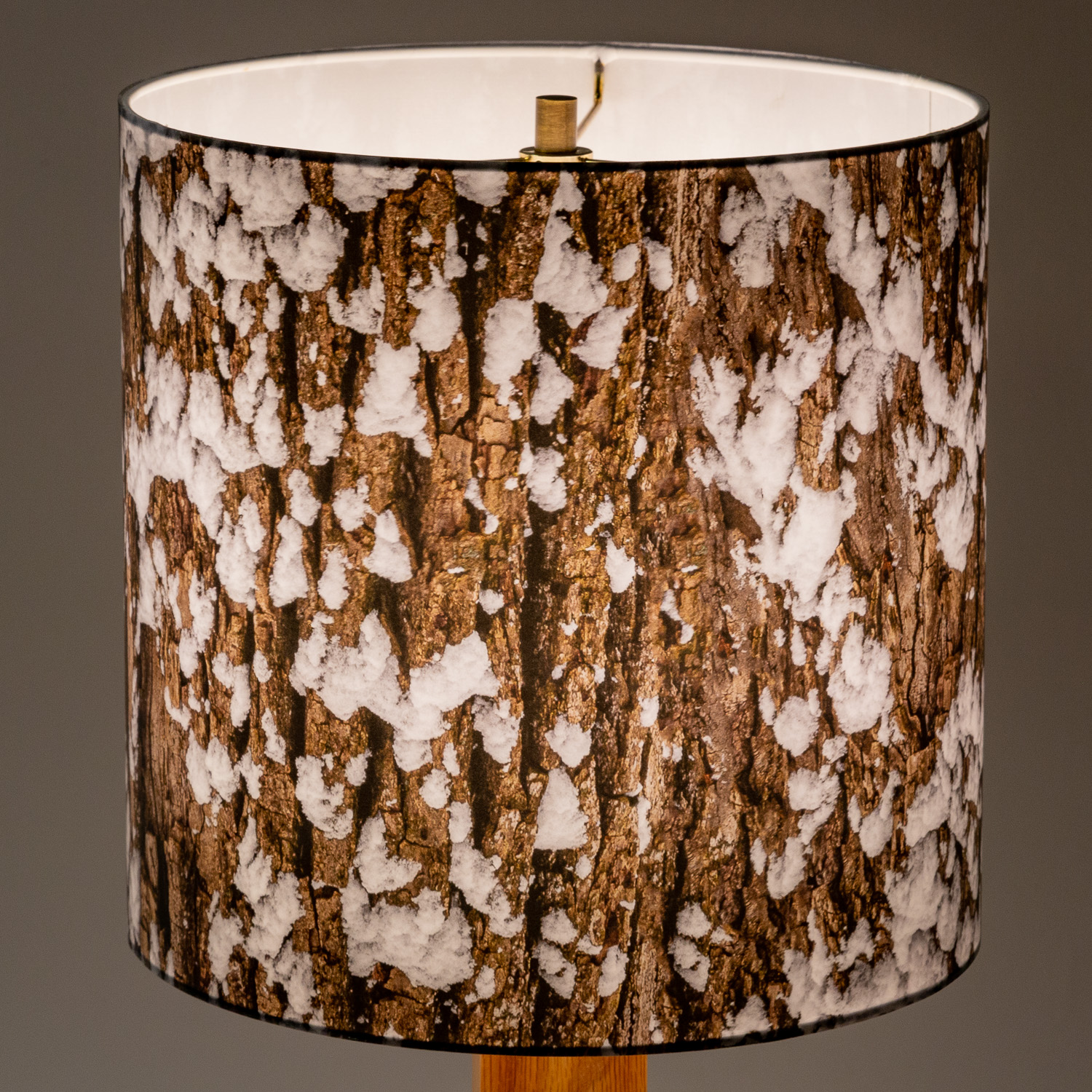 109: Snow on the bark of a cottonwood tree -- Photo on Lamp shade by David Elmore