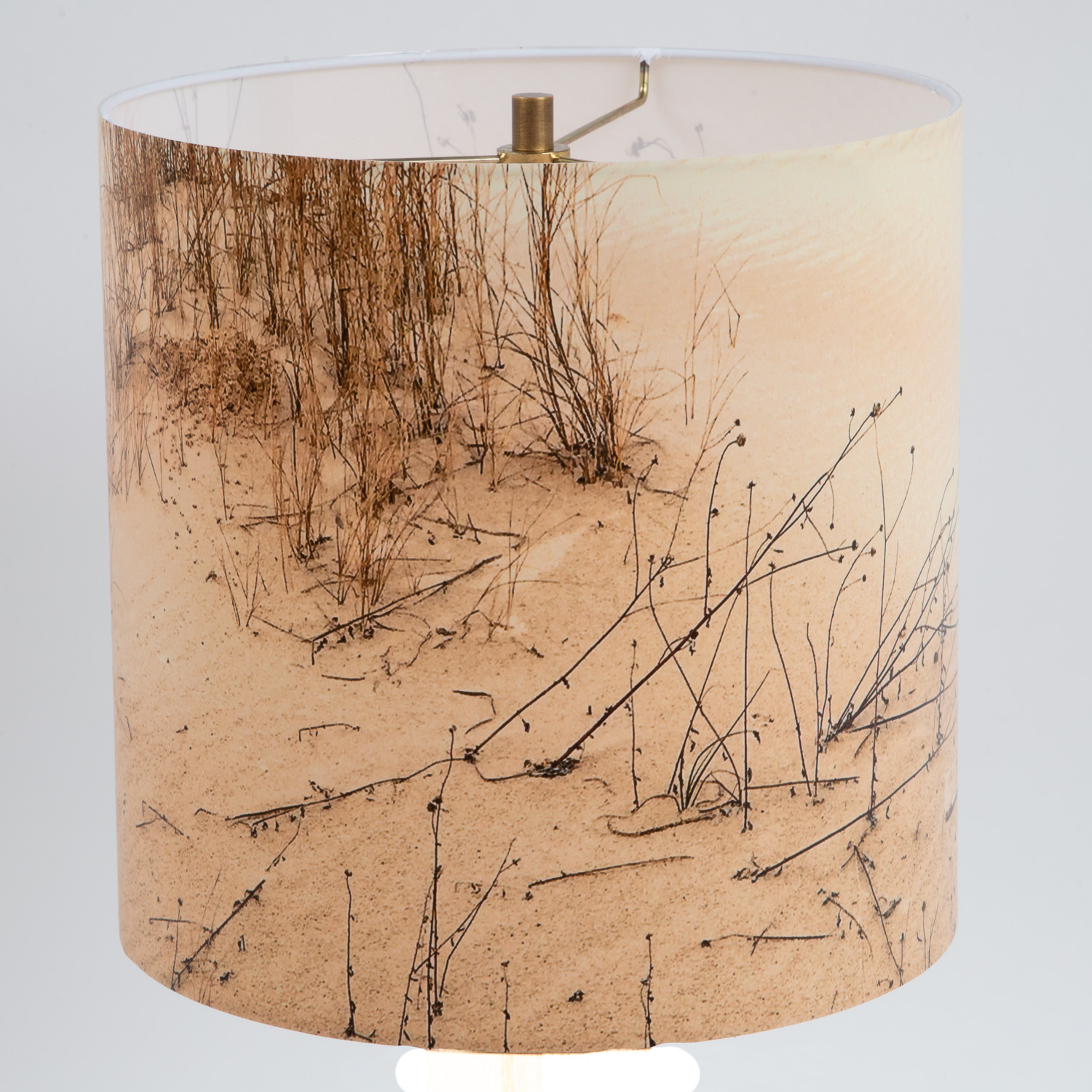 157: Struggle to grow at Monahans Sandhills State Park, Texas -- Photo on Lamp shade by David Elmore