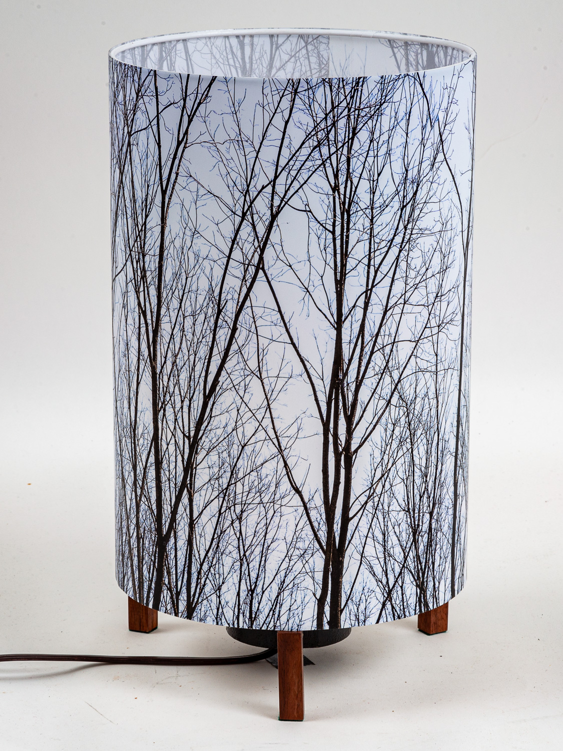 101: Lamp in a shade with walnut trees in winter -- Photo on Lamp shade by David Elmore
