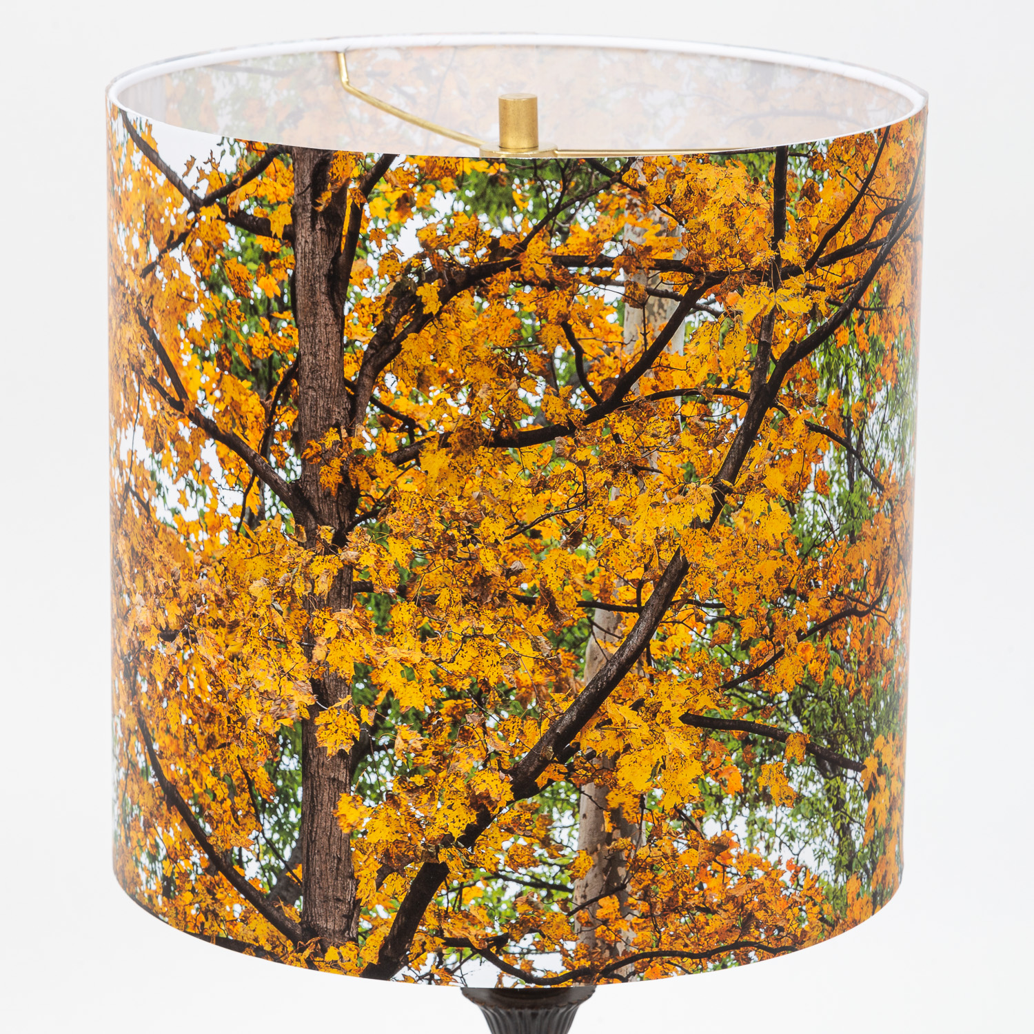 156: Maple tree in fall -- Photo on Lamp shade by David Elmore