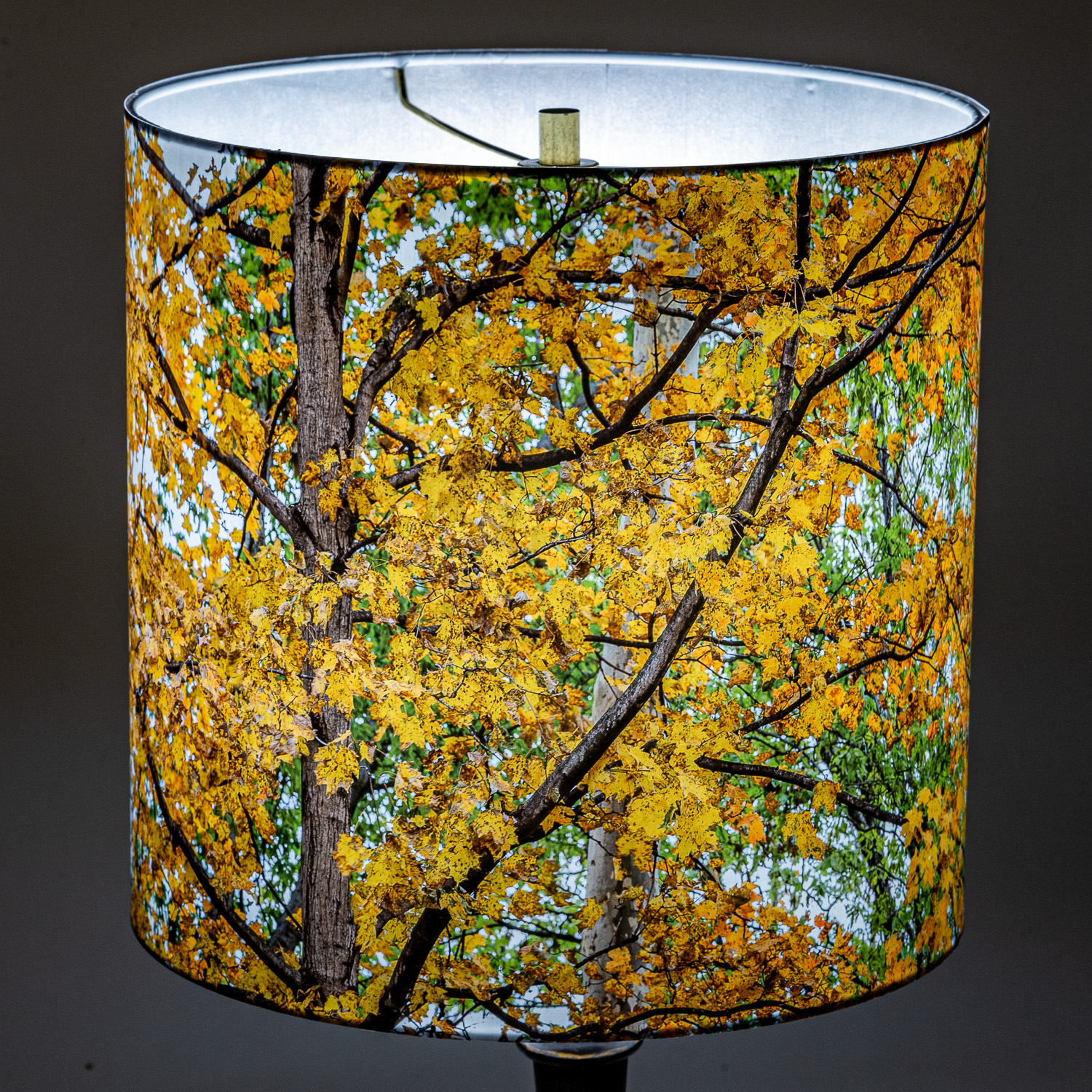 156: Maple tree in fall -- Photo on Lamp shade by David Elmore