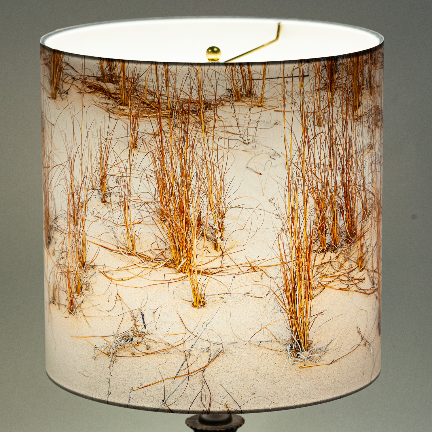 134: Grass in sand, Monahans Sandhills State Park, Texas -- Photo on Lamp shade by David Elmore