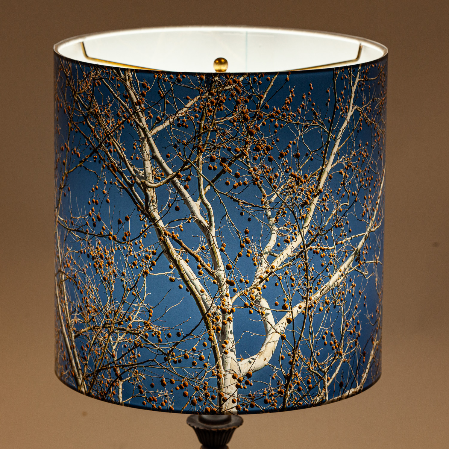 139: Sycamore tree with seedpods -- Photo on Lamp shade by David Elmore