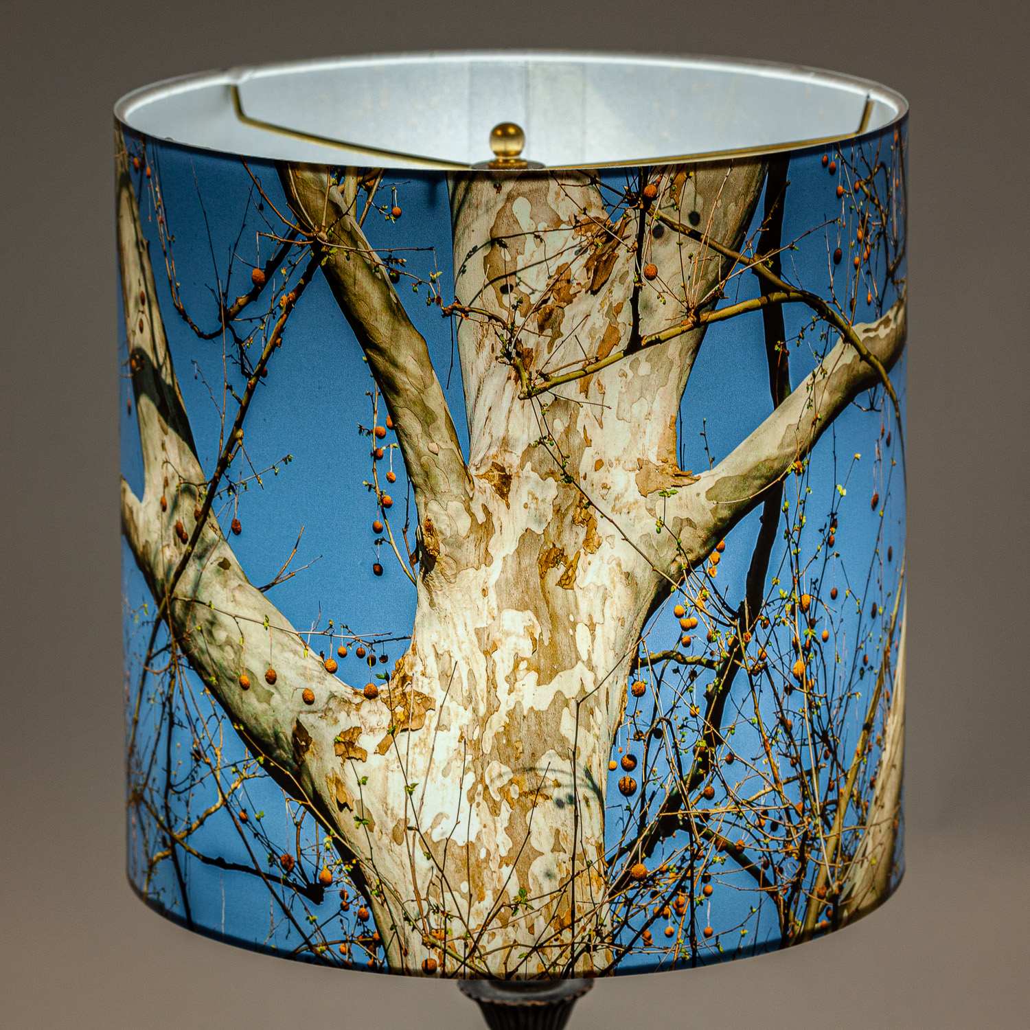 146: Sycamore tree with seedpods -- Photo on Lamp shade by David Elmore