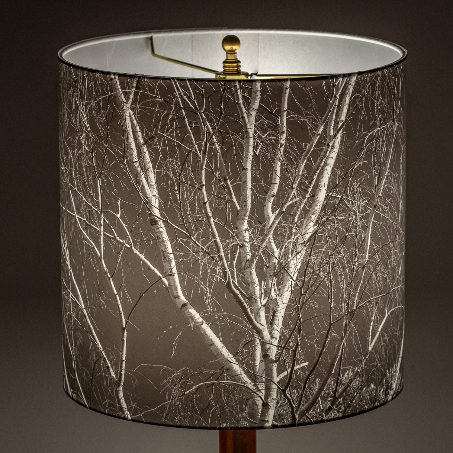 106: Birch tree in winter, black and white -- Photo on Lamp shade by David Elmore